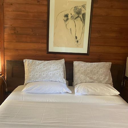 Potters Cottage Bellingen Dış mekan fotoğraf