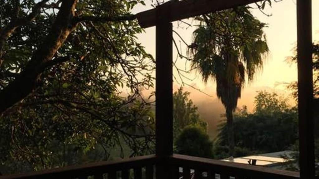 Potters Cottage Bellingen Dış mekan fotoğraf