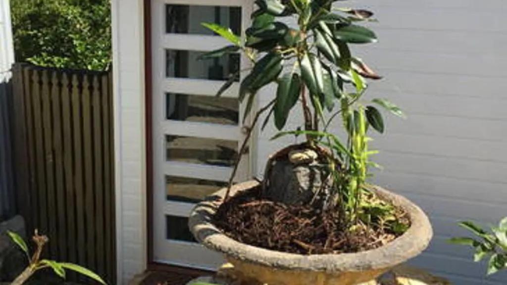 Potters Cottage Bellingen Dış mekan fotoğraf